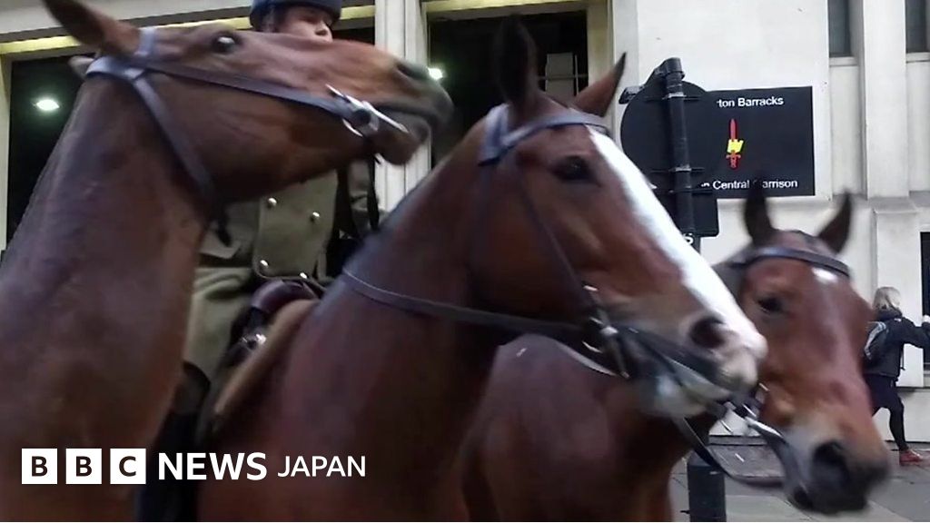 海外紙物 イギリス Horse trams チケット 10冊まるごと ラスト 海外