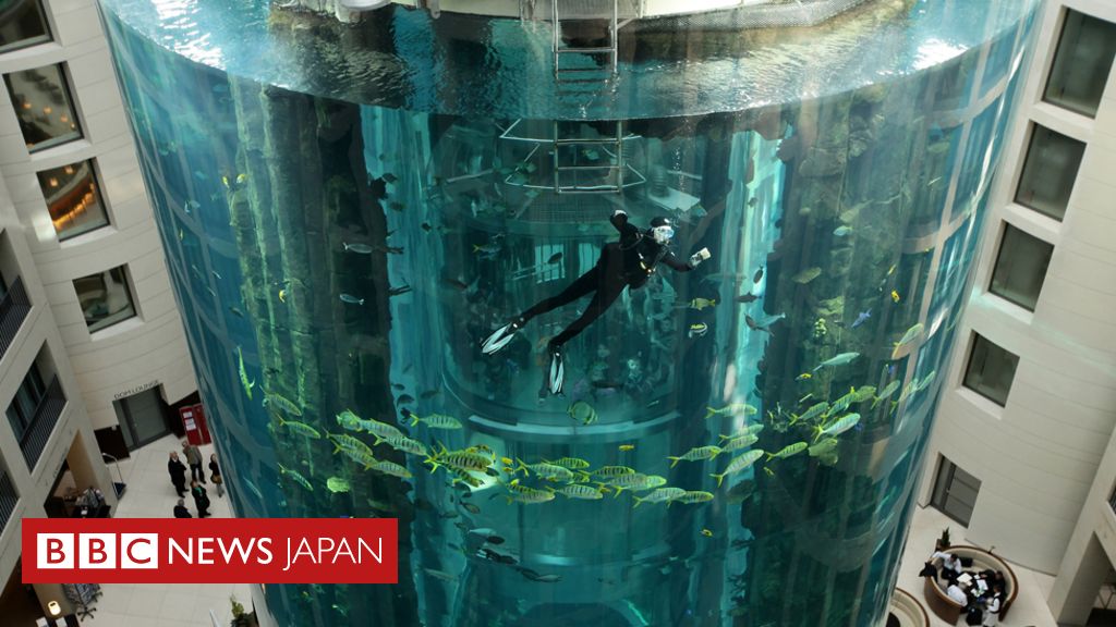 ベルリンのホテルで巨大水槽が破裂、魚1500匹の大半が死亡 - BBCニュース