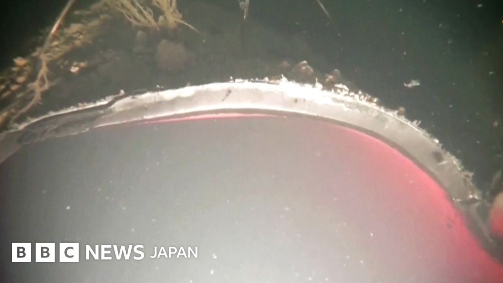 ノルド・ストリーム、「50メートルにわたって破壊」 映像公開 BBCニュース