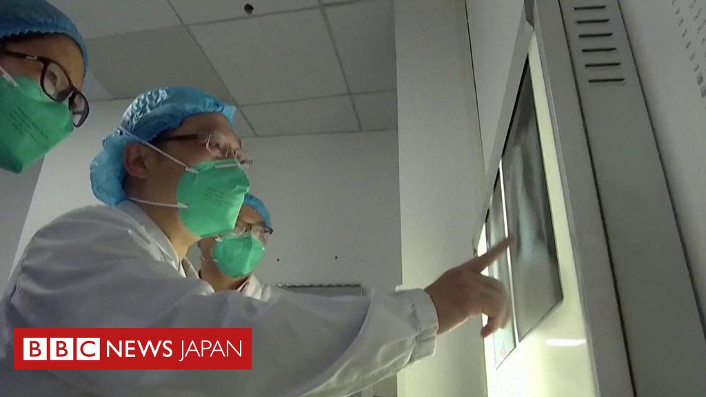 新型コロナウイルス、これまでに分かっていること BBCニュース