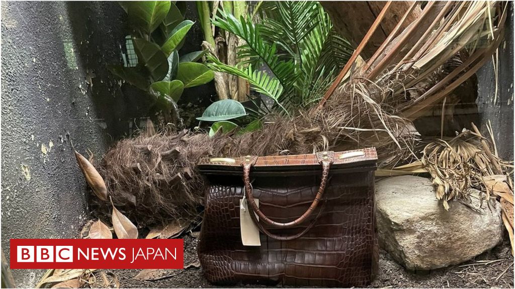 ロンドン動物園、ワニ革のかばん展示が話題に 違法取引への注意