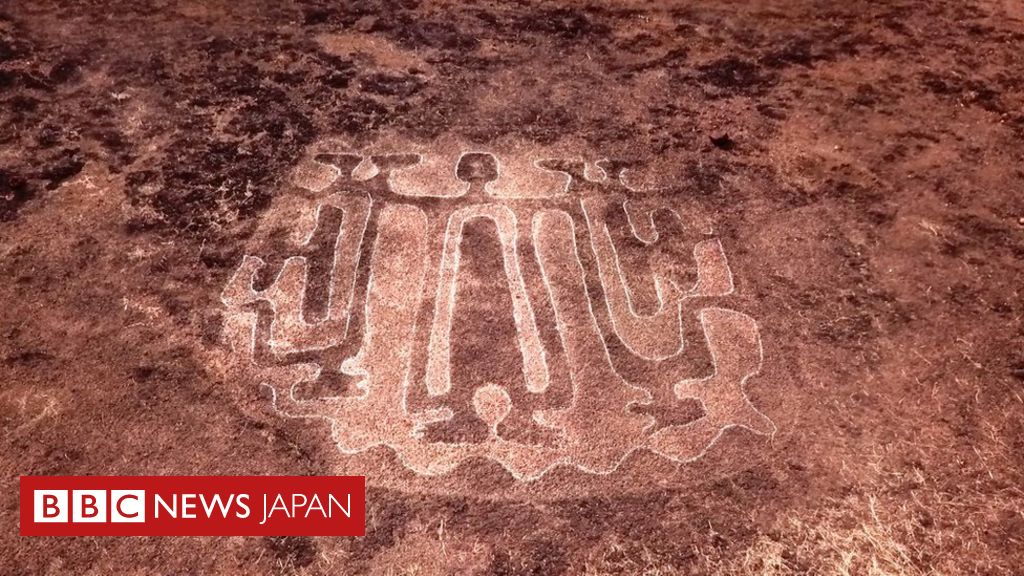 失われた文明の痕跡？ 岩に刻まれた絵、サメやクジラも インド - BBCニュース