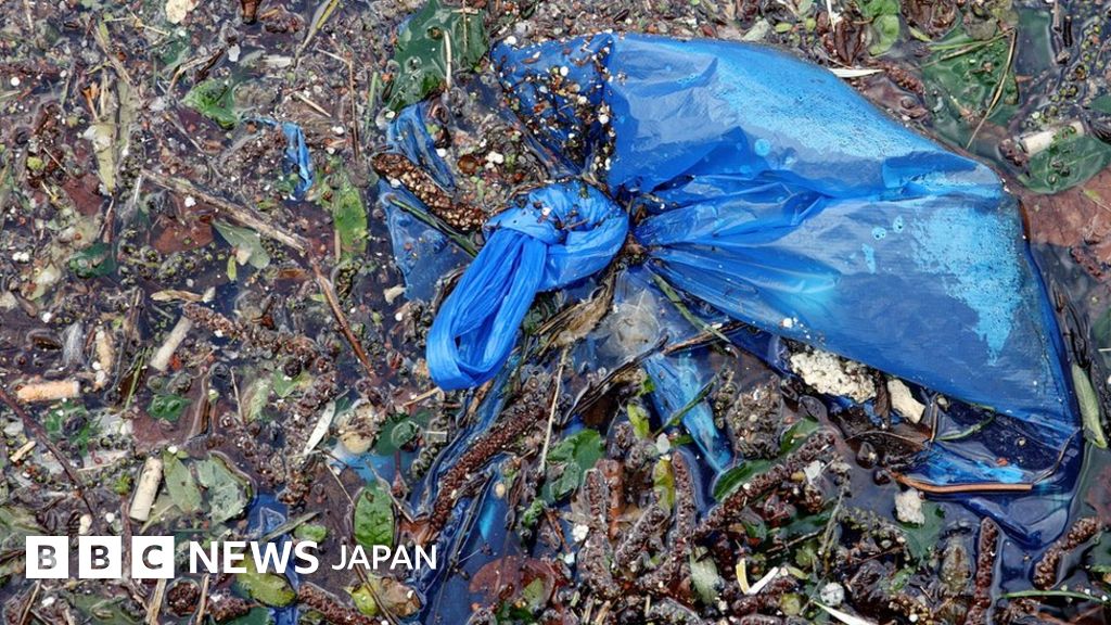 プラスチック汚染対策 全世界50カ国で実施 国連 cニュース