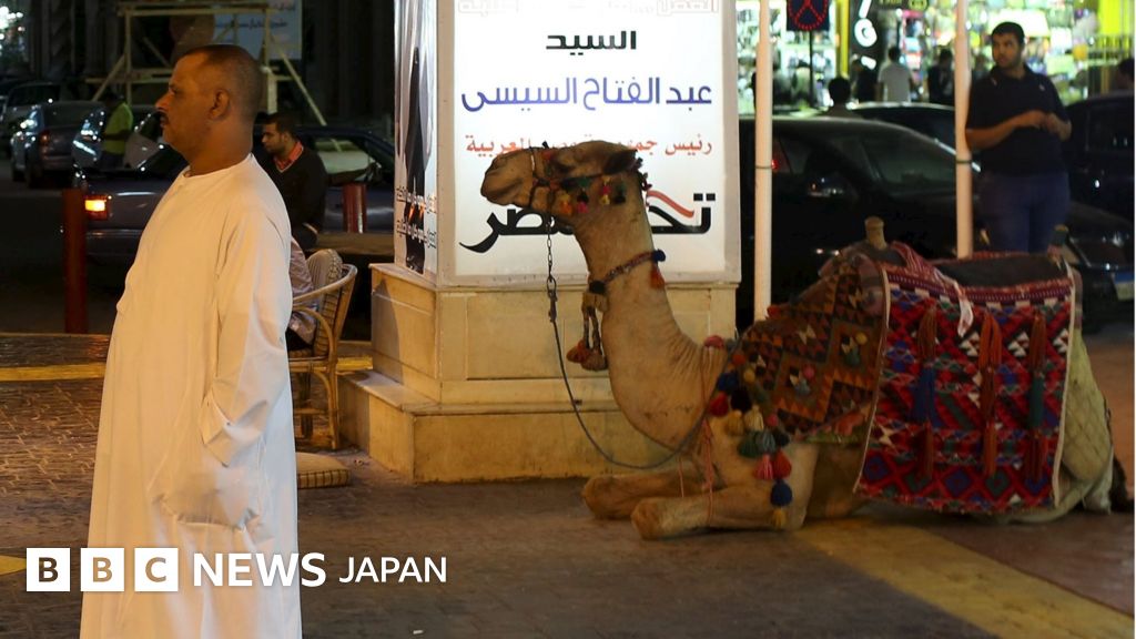 ロシア旅客機墜落】エジプト観光業に大打撃 シナイ半島で旅客機墜落