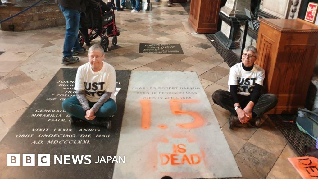 ダーウィンの墓にスプレーで落書き、環境活動家を逮捕 イギリス - BBC