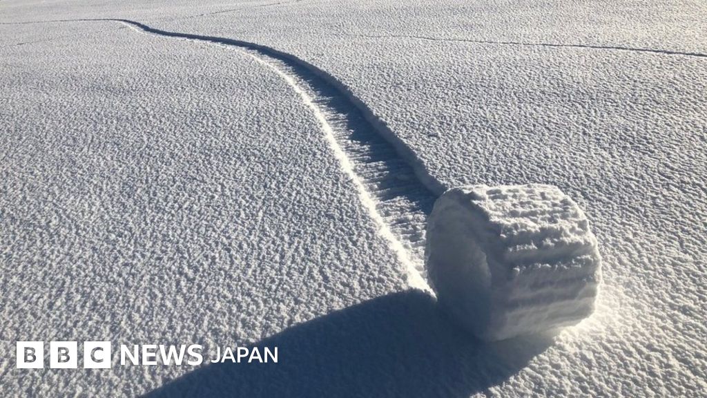 珍しい自然の雪ロール 英南西部で「雪まくり」発生 - BBCニュース