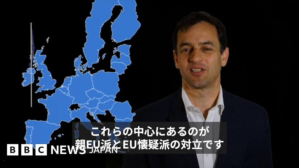 【解説】 28カ国が一斉に投票、欧州議会選挙の焦点は? BBCニュース