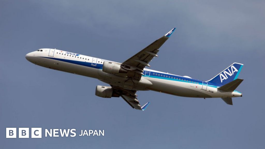 Amazon.co.jp: ANA機内スノードーム客室乗務員エアライン