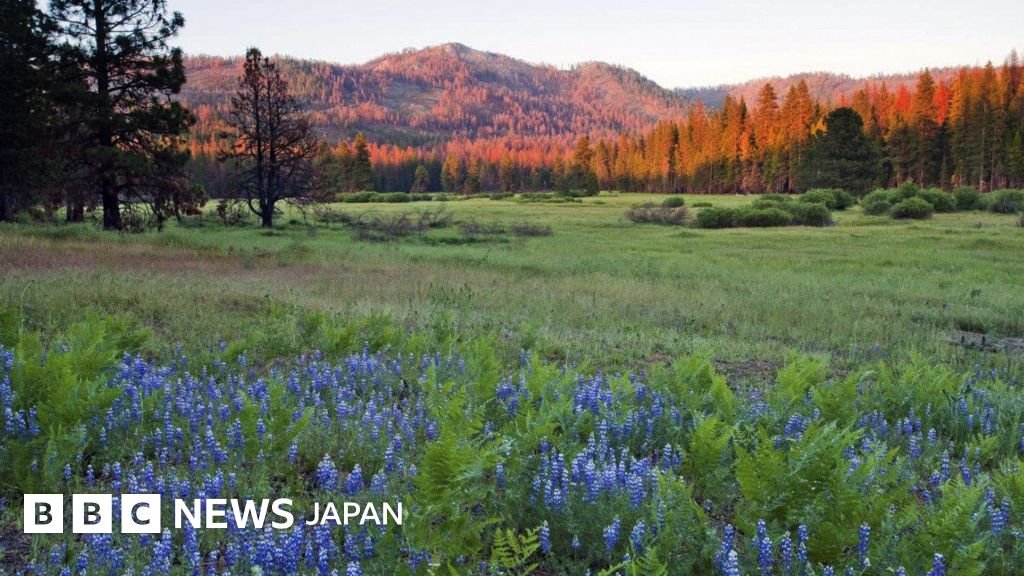 ヨセミテ国立公園 写真集 100年間 Yosemite 洋書 ヨセミテ国立公園 写真集 100年間 Yosemite 洋書 ヨセミテ国立