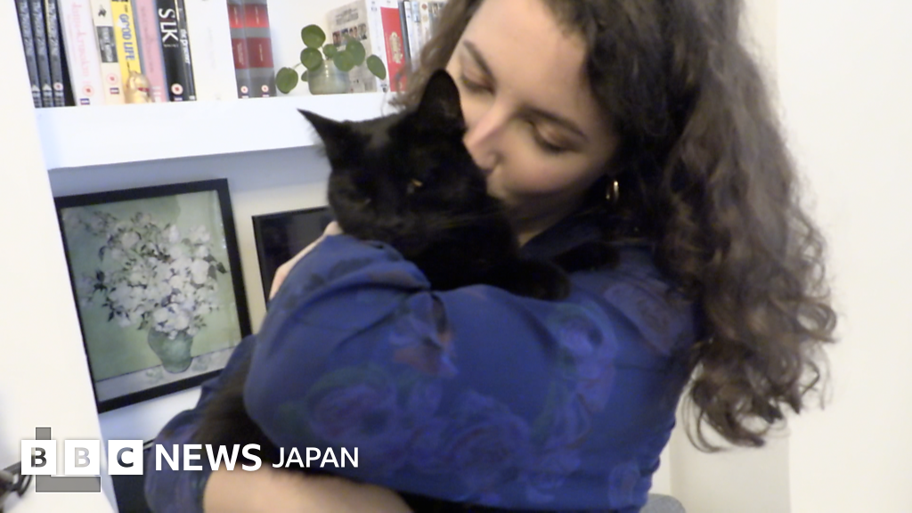 猫も人も寂しくないクリスマス シッター紹介サイトで出会いを cニュース 猫も人も寂しくないクリスマス シッター紹介サイトで出会いを cニュース