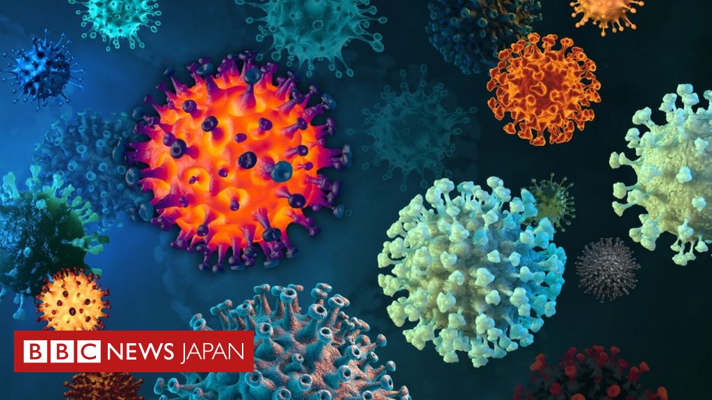 【解説】 新たなコロナ派生型「XBB.1.5」の特徴は　アメリカで流行 - BBCニュース