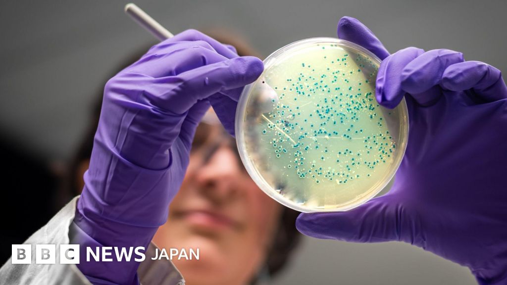 BBC.comのニュース記事「AIが「スーパー耐性菌」に有効な抗生物質を設計 淋菌とブドウ球菌で」の画像