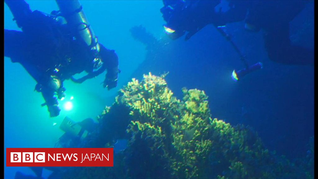 タイタニックの姉妹船 エーゲ海の沈没現場 Bbcニュース