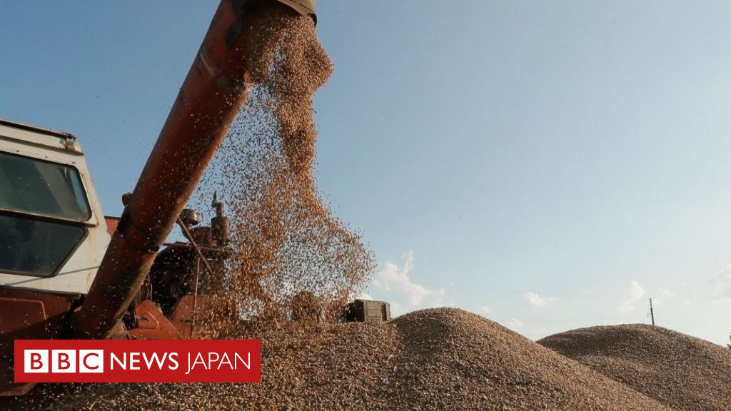 ウクライナ、ポーランドなど3カ国をWTOに提訴 農産物輸入禁止 