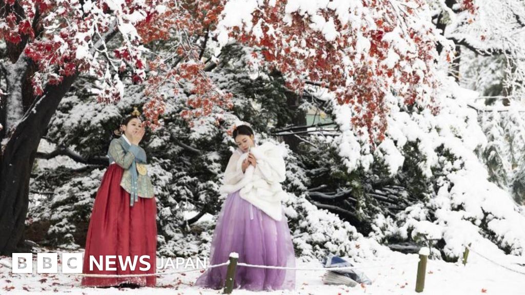 ソウルで記録的大雪 11月の最多積雪更新 - BBCニュース