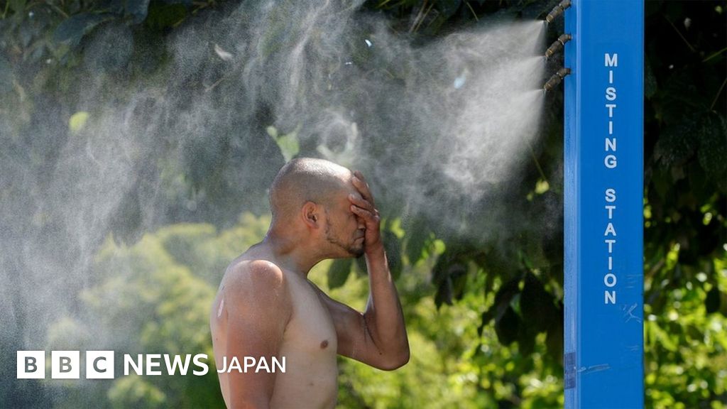 カナダ 記録的な高温で70人近い死者 3日連続で最高気温を更新 cニュース