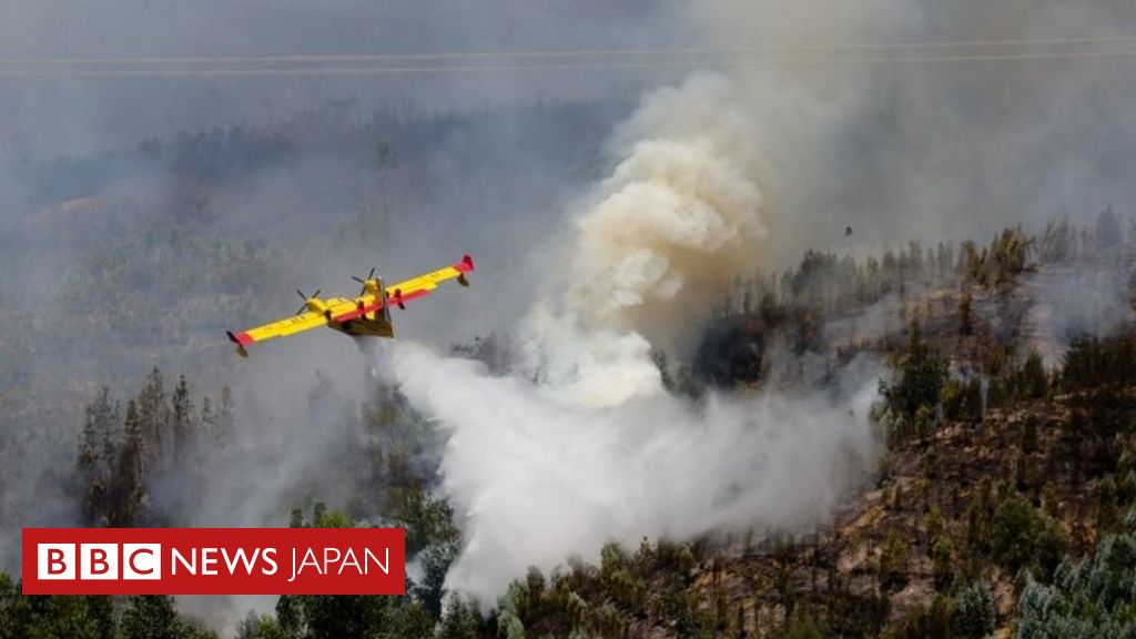 ポルトガル山火事で61人死亡 3日間の服喪 cニュース