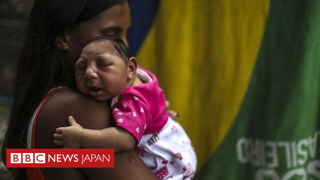 ブラジル、ジカ熱の非常事態終結を宣言 - BBCニュース