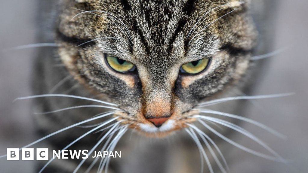 _108136153_gettyimages-