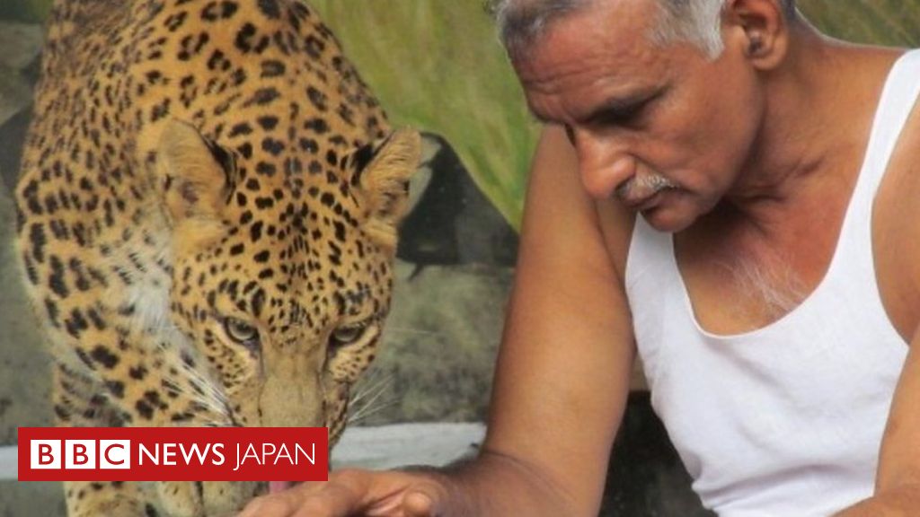 ヒョウやクマと一緒に生活 インドの野生動物 孤児院 cニュース