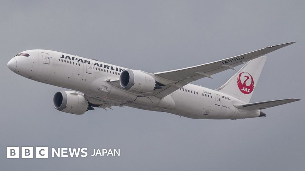 Jalパイロット 英ヒースロー空港で逮捕 飲酒検査で上限値の9倍超 cニュース