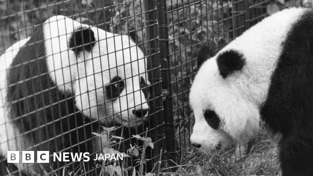 _99397463_fb253da3-6e26-4321-