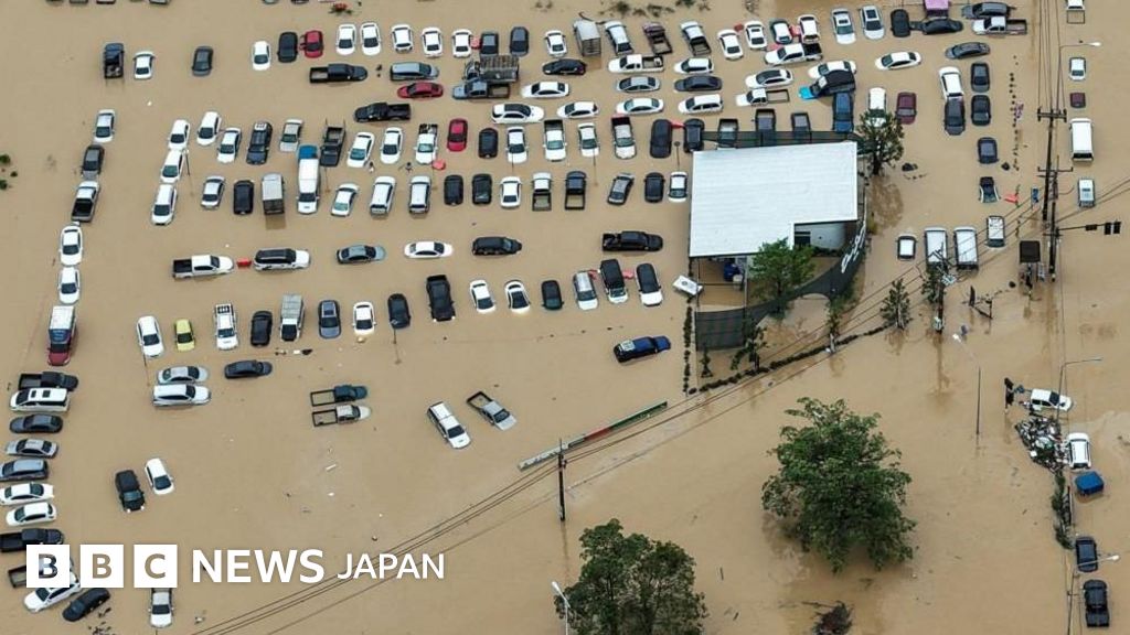 濁った水に沈んだ街の一角に、車高の半分ほどが水に沈んだ車が多数放置されている様子を、上空から撮影した写真。電信柱や街路樹、建物などもみえるが、いずれも水につかっている