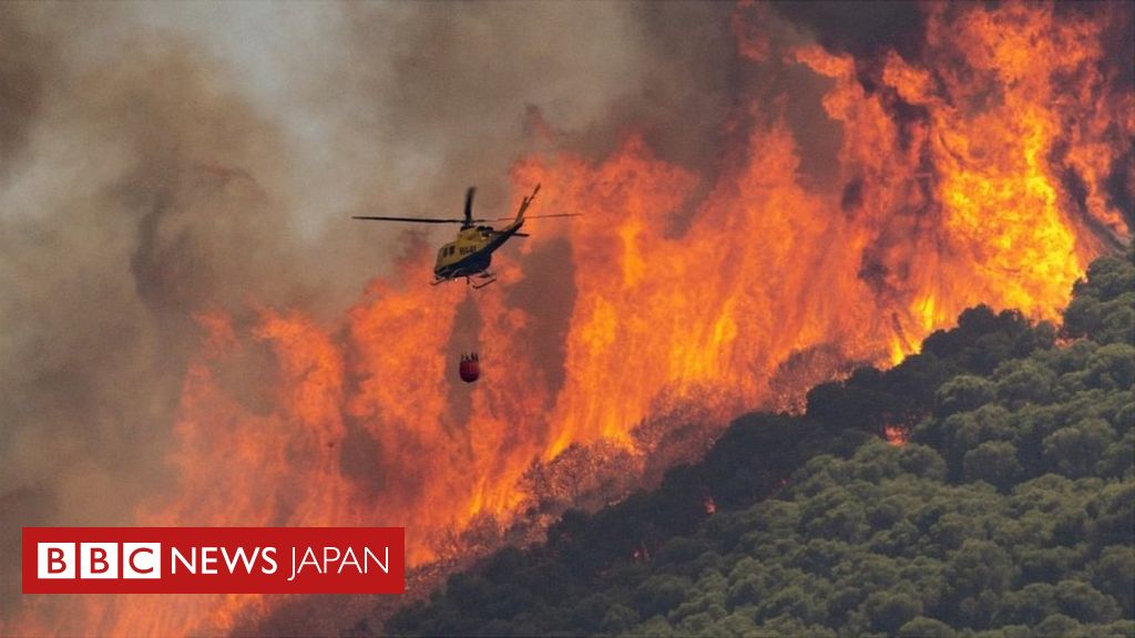 地中海周辺で山火事相次ぐ 南欧で熱波 イギリスでは40度超になる懸念も cニュース