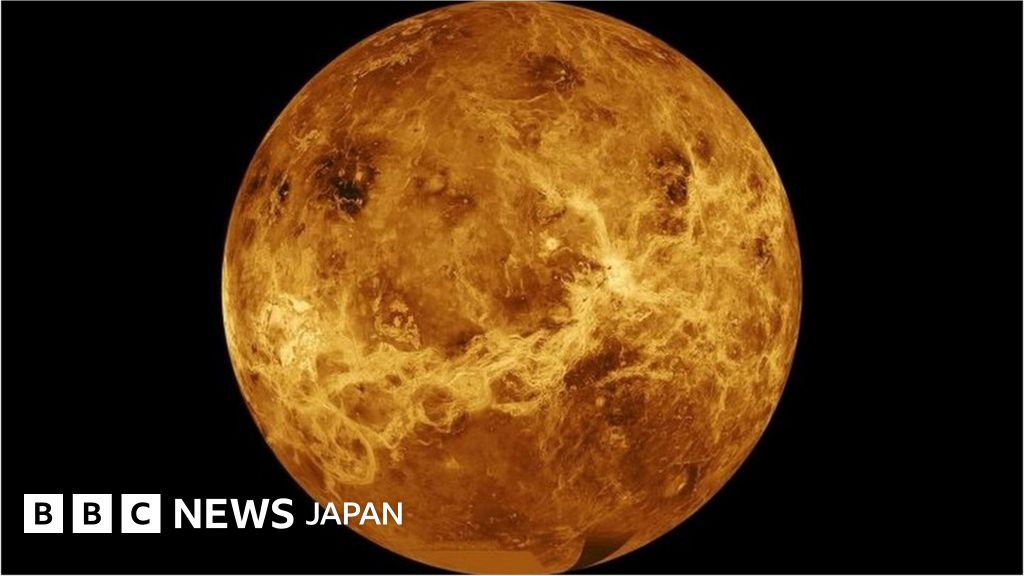 _118797224_d46ff476-316c-4dc6-