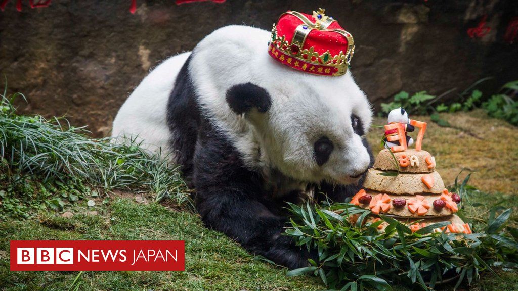 世界最年長のパンダが37歳で死ぬ 中国福建省 cニュース