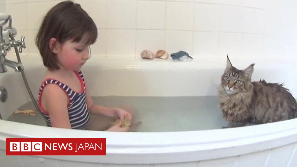 猫と出会い 重い自閉症と言われた少女に変化が cニュース