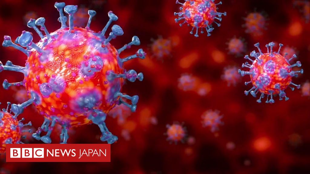 1分で解説 新型コロナウイルスについて知っておくべきこと BBCニュース