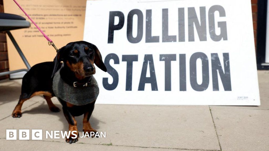 イギリス地方議会選、野党が大きく躍進 BBCニュース