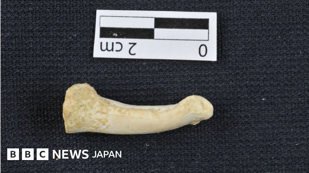 フィリピンで新種の原人を発見 人類の進化に新たな説も cニュース