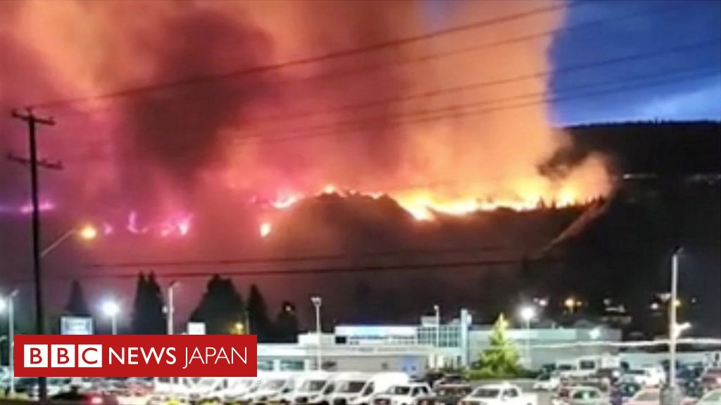 猛暑のカナダ西部 山火事が170件以上発生 避難支援で軍が待機 cニュース