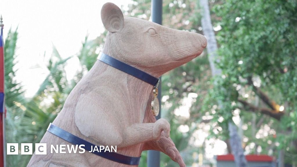 BBCニュース -  地雷探知ネズミたたえる世界初の像、カンボジアで除幕
