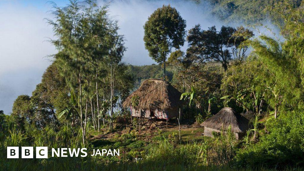 パプアニューギニアで民族間抗争、26人が死亡 待ち伏せ攻撃か - BBC