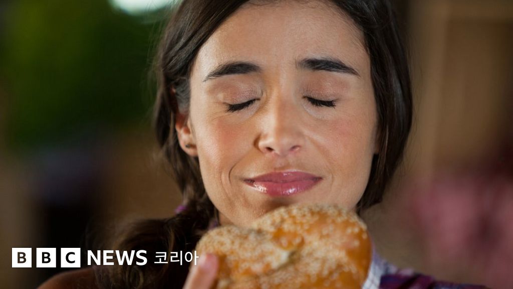 과학: 제과점 빵 냄새가 진짜 빵 냄새가 아니라고? - BBC News 코리아