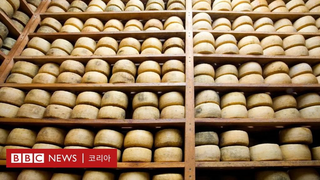 이탈리아 치즈 장인이 페코리노 치즈를 묻어버린 이유 - BBC News 코리아