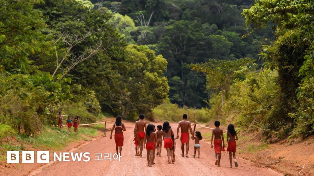 아마존: 무장한 금광개발업자들, 원주민 습격해 지도자 살해 - BBC News 코리아