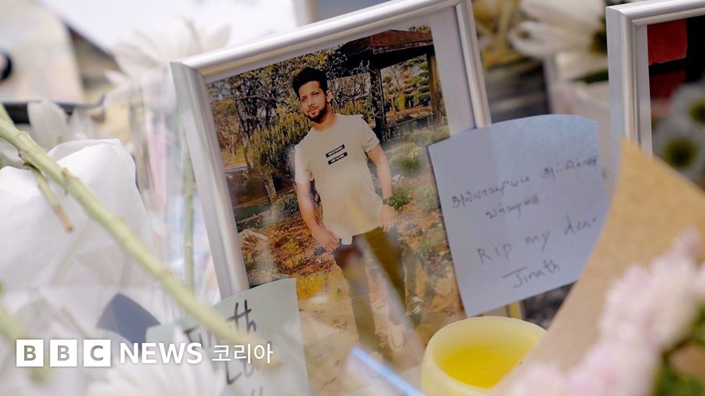 Witness epic swallow BBC moments