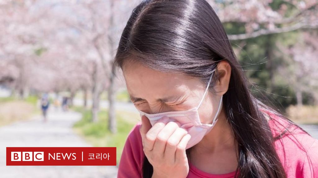 꽃가루알레르기위기를겪는일본…. 2차세계대전이원인?