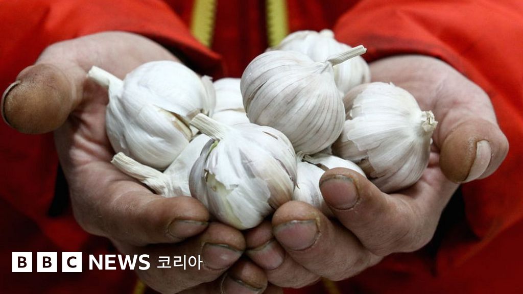 해외 코로나19 확진 시 대처 요령