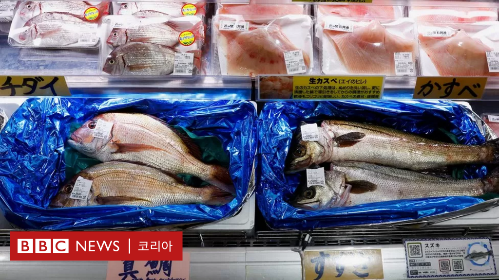 福島からの汚染水：中国による日本産魚介類の輸入は8月に67％減少