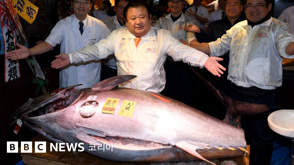 일본: 츠키지 수산시장이 83년 만에 문을 닫는다 - BBC News 코리아