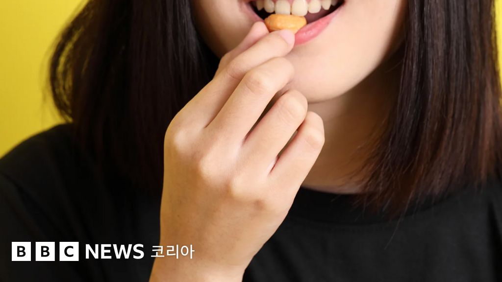 칼로리 계산은 무의미… 언제·어떻게 먹느냐가 더 중요