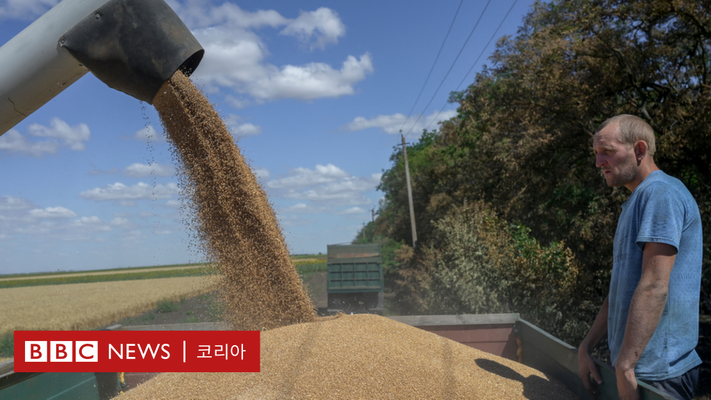 우크라이나 곡물 협정은 무엇이고 어떤 효과가 있나? - Bbc News 코리아