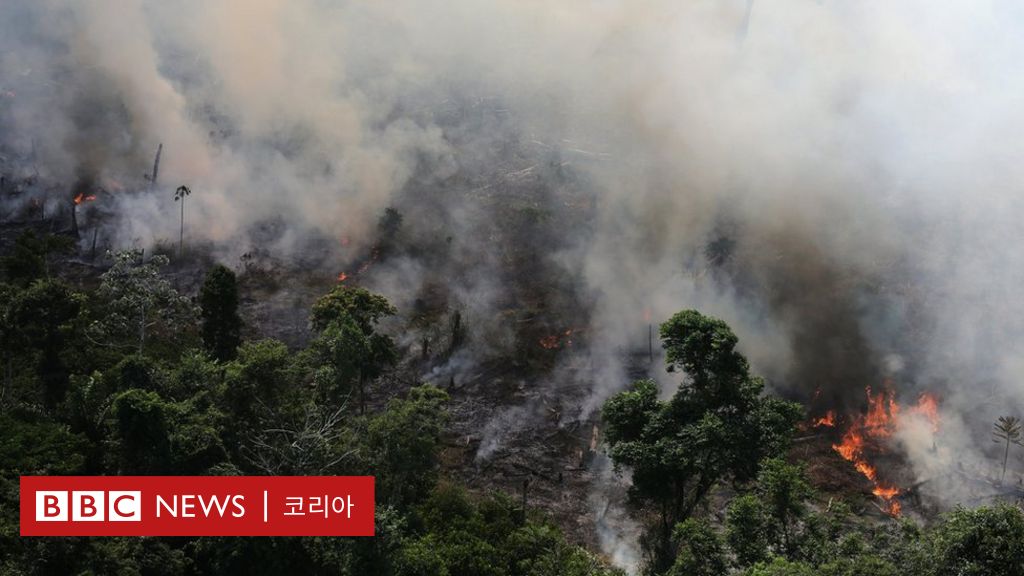 [세계] 아마존 열대우림 화재사고, 알고계신가요?