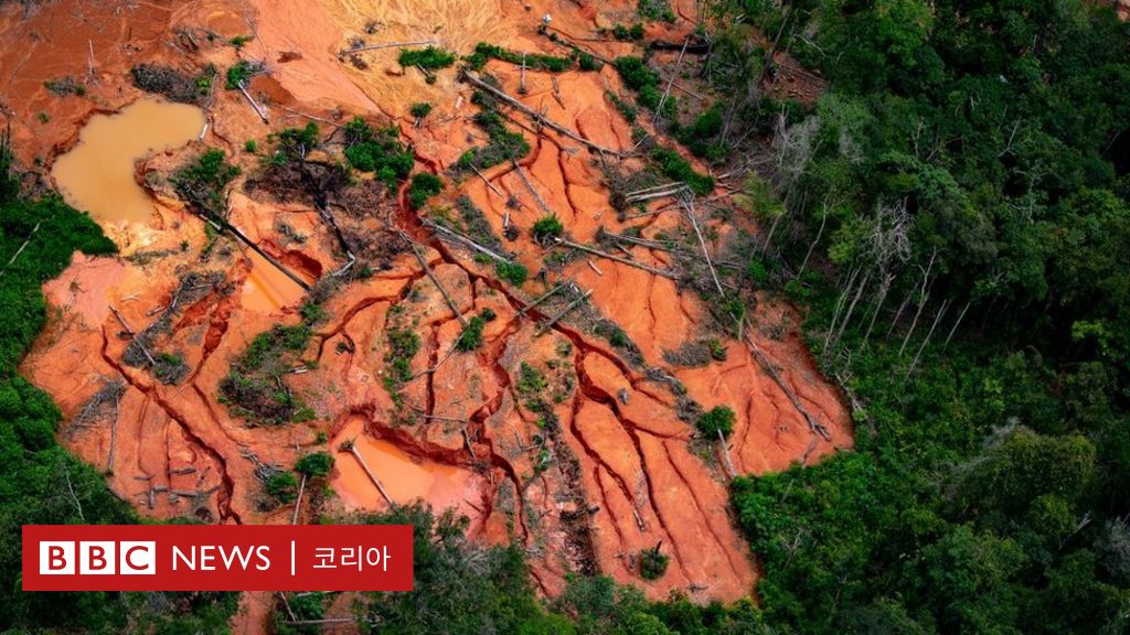 아마존: 정부가 손을 뗀 사이 활개치는 불법 금광 개발업자들 - BBC News 코리아