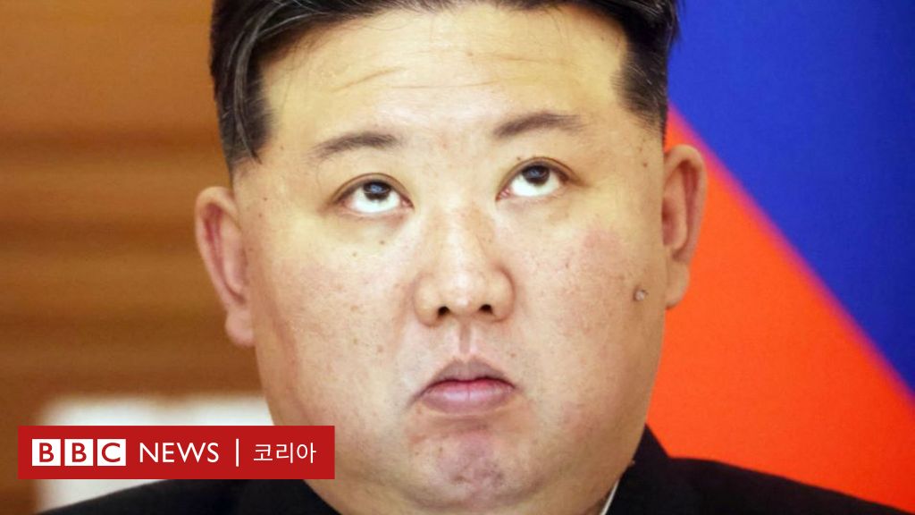 한국 민주주의 정치판을 바라보는 김정은의 복잡미묘한 심경 - BBC News 코리아